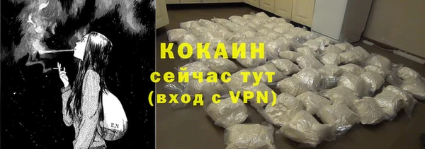 бошки Белокуриха
