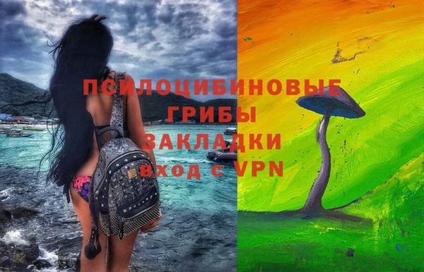 бошки Белокуриха
