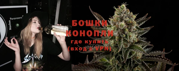 бошки Белокуриха